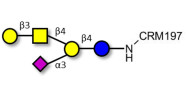 GM1a Ganglioside oligosaccharide grafted on CRM197