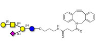 GM1a Ganglioside oligosaccharide with DBCO (Linker-DBCO A)