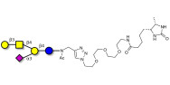 GM1a Ganglioside oligosaccharide linked to desthiobiotin (Linker-DBT-A)