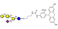 GM1a Ganglioside oligosaccharide linked to fluorescein (Linker-FLUO A)
