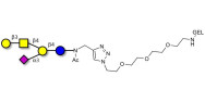GM1a Ganglioside oligosaccharide grafted on gel for affinity chromatography (Linker-GEL A)