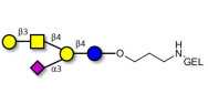 GM1a Ganglioside oligosaccharide grafted on gel for affinity chromatography (Linker-GEL B)