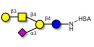 GM1a Ganglioside oligosaccharide grafted on HSA