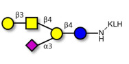 GM1a Ganglioside oligosaccharide grafted on KLH