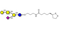 GM1a Ganglioside oligosaccharide with cyclic di-thiol (Linker-LIPO A)