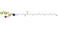 GM1a Ganglioside oligosaccharide with terminal azide (Linker-N3 A)