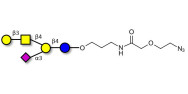 GM1a Ganglioside oligosaccharide with terminal azide (Linker-N3 B)
