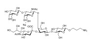 GM1a Ganglioside oligosaccharide with free terminal amine (Linker-NH2 A)
