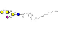 GM1a Ganglioside oligosaccharide with free terminal amine (Linker-NH2 B)