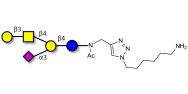GM1a Ganglioside oligosaccharide with free terminal amine (Linker-NH2 D)