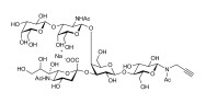 GM1a Ganglioside oligosaccharide with terminal alkyne (Linker-CΞCH A)