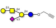 GM1a Ganglioside oligosaccharide with terminal alkyne (Linker-CΞCH B)