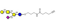 GM1a Ganglioside oligosaccharide with terminal alkyne (Linker-CΞCH C)
