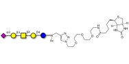 GM1b Ganglioside oligosaccharide linked to biotin (Linker-BT A)