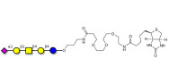 GM1b Ganglioside oligosaccharide linked to biotin (Linker-BT C)
