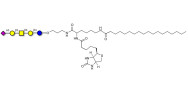 GM1b Ganglioside oligosaccharide linked to biotin and stearic chain (Linker-BT-STEA A)