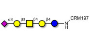 GM1b Ganglioside oligosaccharide grafted on CRM197