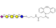 GM1b Ganglioside oligosaccharide with DBCO (Linker-DBCO A)