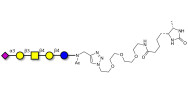 GM1b Ganglioside oligosaccharide linked to desthiobiotin (Linker-DBT-A)