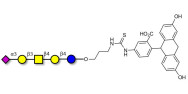 GM1b Ganglioside oligosaccharide linked to fluorescein (Linker-FLUO A)