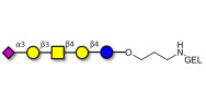 GM1b Ganglioside oligosaccharide grafted on gel for affinity chromatography (Linker-GEL B)