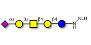 GM1b Ganglioside oligosaccharide grafted on KLH