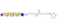 GM1b Ganglioside oligosaccharide with cyclic di-thiol (Linker-LIPO A)