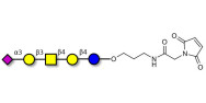 GM1b Ganglioside oligosaccharide linked to maleimide (Linker-MAL A)