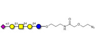 GM1b Ganglioside oligosaccharide with terminal azide (Linker-N3 B)