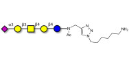 GM1b Ganglioside oligosaccharide with free terminal amine (Linker-NH2 D)