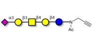 GM1b Ganglioside oligosaccharide with terminal alkyne (Linker-CΞCH A)
