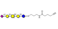 GM1b Ganglioside oligosaccharide with terminal alkyne (Linker-CΞCH C)