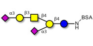 GD1a Ganglioside oligosaccharide grafted on BSA