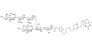 GD1a Ganglioside oligosaccharide linked to biotin (Linker-BT A)