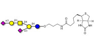 GD1a Ganglioside oligosaccharide linked to biotin (Linker-BT B)
