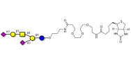GD1a Ganglioside oligosaccharide linked to biotin (Linker-BT C)