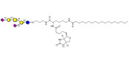 GD1a Ganglioside oligosaccharide linked to biotin and stearic chain (Linker-BT-STEA A)