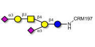 GD1a Ganglioside oligosaccharide grafted on CRM197