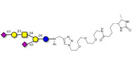 GD1a Ganglioside oligosaccharide linked to desthiobiotin (Linker-DBT-A)