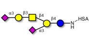 GD1a Ganglioside oligosaccharide grafted on HSA