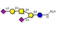 GD1a Ganglioside oligosaccharide grafted on KLH