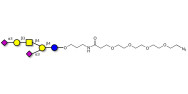 GD1a Ganglioside oligosaccharide with terminal azide (Linker-N3 A)