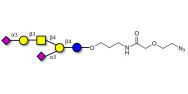 GD1a Ganglioside oligosaccharide with terminal azide (Linker-N3 B)