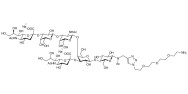 GD1a Ganglioside oligosaccharide with free terminal amine (Linker-NH2 B)