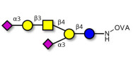 GD1a Ganglioside oligosaccharide grafted on OVA