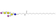 GD1a Ganglioside oligosaccharide with stearic chain (Linker-STEA A)