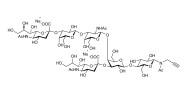 GD1a Ganglioside oligosaccharide with terminal alkyne (Linker-CΞCH A)