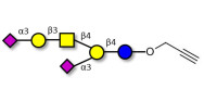 GD1a Ganglioside oligosaccharide with terminal alkyne (Linker-CΞCH B)