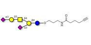 GD1a Ganglioside oligosaccharide with terminal alkyne (Linker-CΞCH C)
