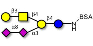 GD1b Ganglioside oligosaccharide grafted on BSA